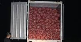 Ofrecemos cebollas rojas frescas en el mercado a los