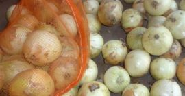 Whatsapp: +46736819530 Tenemos cebollas rojas, amarillas y blancas frescas