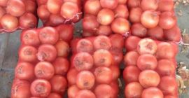 Whatsapp: +46736819530 Tenemos cebollas rojas, amarillas y blancas frescas