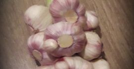 Hola, vendo trenzas de ajo, el precio de una