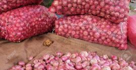 Cebolla roja 1. Variedad: Cebolla roja, cebolla amarilla 2.