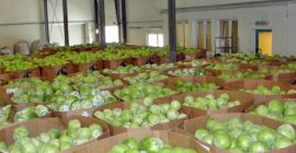 OFRECEMOS CABINA CHINA, JOVEN OFRECEMOS CABINA CHINA, JOVEN Y BLANCA. TEL / WHATSAPP