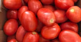 Nuestra empresa es un importante proveedor de productos agrícolas