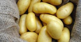 Stare ziemniaki 15kg, 25kg, cena bez VAT zawiera dostawę