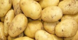 świeża cebula kalibru 5+, świeża marchew, stare ziemniaki, czosnek,