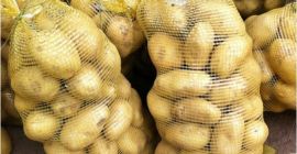 Cebolla fresca de calibre 5+, zanahorias frescas, papas viejas,