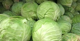 Col 1 kg - 2 kg de Dinamarca, buen