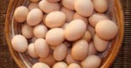 Venderé huevos de la gama gratuita de 4000 piezas