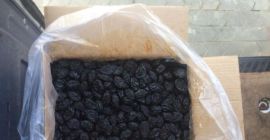 Una compañía de producción para ampliar la distribución de