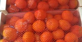 Venderé mandarina Ortanique con un embalaje de madera de