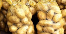 Patatas Cebolla Uzbekistán Origen Kale Somos productos de alta