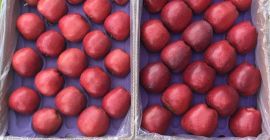 Suministramos manzanas American Fresh Red Delicious, de alta calidad.