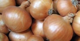 cebolla fresca: 1. Origen: Alemania 2. embalaje: 10 kg
