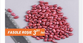 Frijoles rojos, cantidad 20 toneladas, sacos 50kg, precio con