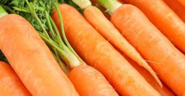 Damas y caballeros tienen un buen momento para comenzar