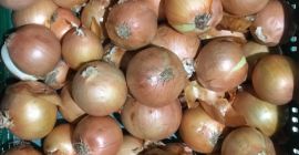 Vendemos cebollas de alta calidad de Kazajstán. Envasadas en