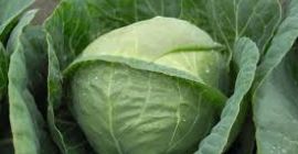 Señoras y señores, les deseo un buen día! Somos