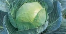 Señoras y señores, les deseo un buen día! Somos