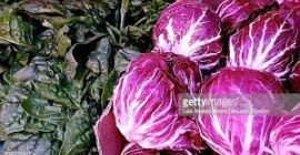 Señoras y señores, les deseo un buen día! Somos