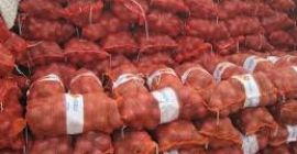 Tenemos las cebollas rojas, amarillas y blancas frescas de