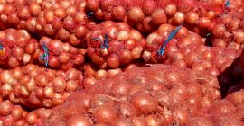cebolla fresca: embalaje: 10 kg / 20 kg bolsa