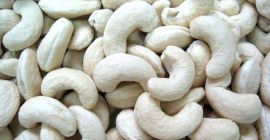 Especificaciones de los anacardos crudos Grado: Blanco Wholes: W240,