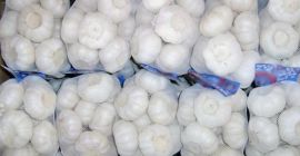 Ajo blanco fresco para la venta Nombre Ajo blanco