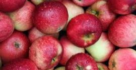 Apple fresco en venta Whatsapp Todas las variedades de