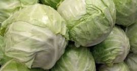 Tamaño de la col verde fresca: 500-1000g, 1000-1500g, 1500-2000g,