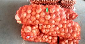 Venderé cebollas. tamaño 5+. La calidad está garantizada. Ubicación: