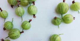 Voy a vender un buen y saludable macurines de