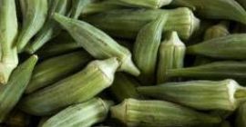 todas las variedades de okra disponibles Bebé Bubba Híbrido