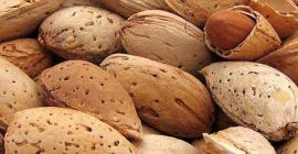 Almendras sin pelar para procesar. Venderé almendras para procesar.