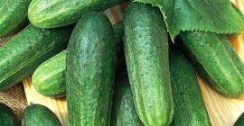 Cosecha de melón 2019 de Uzbekistán. Ofrecemos melones y