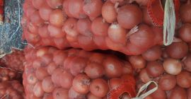 OOO &quot;AGRO IBRAT&quot;, Andijan, Uzbekistán, ofrece cebolla de forma