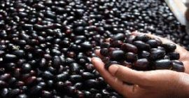 wickr .... meshi1 Nuestra organización se evalúa entre los