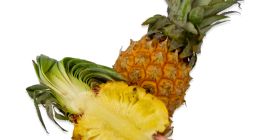 Temporada: todo el año Origen: Centro / Sudamérica y