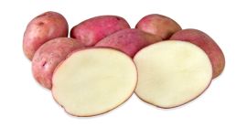 ESPECIFICACIÓN DE LA POSICIÓN Tamaño: Seleccione aprox. 10 libras,