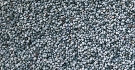 La compañía Moldavia, Anastasia Trading &amp; Services &#39;&#39; SRL