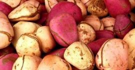 Uno de estos artículos se envía antes que el