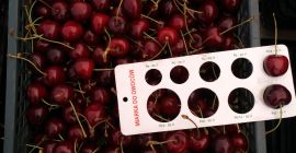 Hola, ofrezco en venta frutas de cereza en cantidades