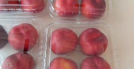 Nectarina turca. Cualquier embalaje