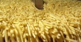 Patatas congeladas blanqueadas a la venta 10/10 A precio