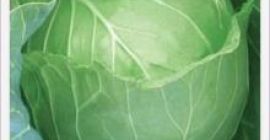 Venta de unidades: Artículo único. Tamaño de un paquete