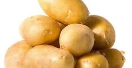 ofrecemos papas holandesas frescas tamaño 100 g, 150 g,