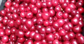 Cerezas directamente de la huerta en Mieszkowice, sin intermediarios.