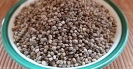 Semillas de cáñamo (Sativa) grado USO31 semillas de cáñamo