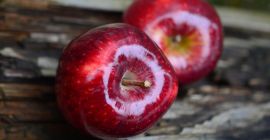 MANZANAS FRESCAS ROJAS, VERDURAS Y FUJI Empaquetado y entrega