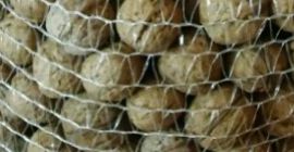 Nueces de tu propio jardín. Alrededor de 300 kg.