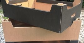 Ofrecemos cajas de cartón de alta calidad para frutas